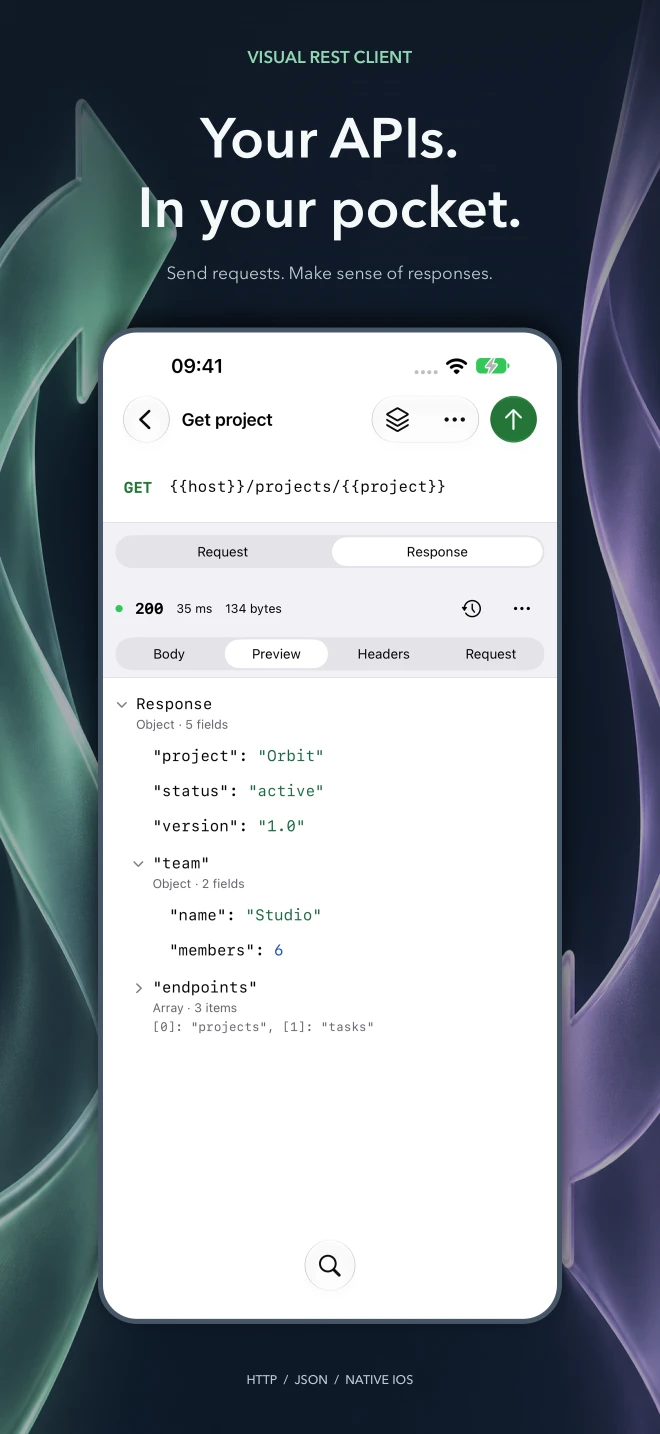 Visual REST Client on iPhone showing an API response with an expandable JSON preview